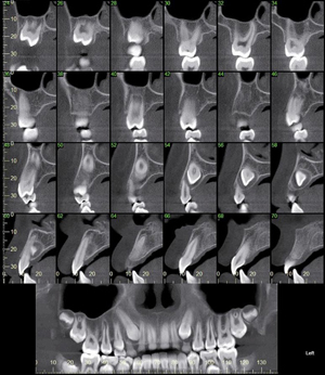 ３Ｄデータによる豊富な情報量